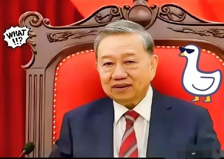 越南这波操作真是把“过河拆桥”玩明白了！刚用着中国的标准轨铁路搞互联互通，转头