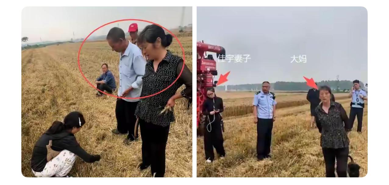 作为湖北人，我得说句公道话，这位大娘的子女你们自己看着办！农机手体谅你家中
