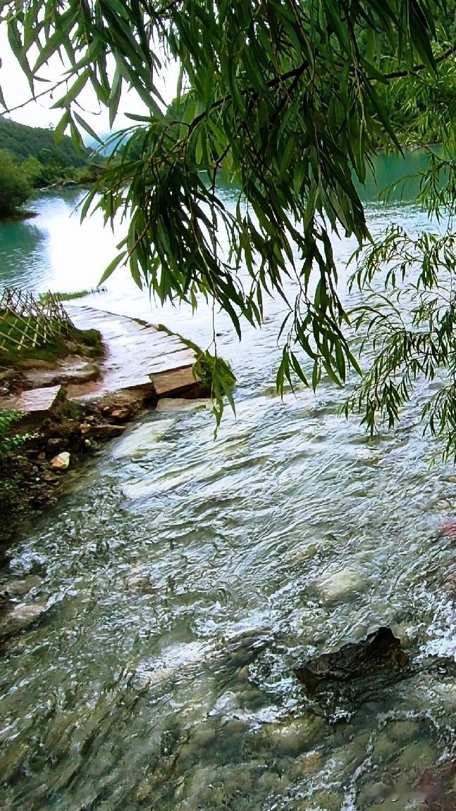 台风“白海豚”对南京影响确实大。今天明显凉快了，不过这凉快背后是狂风暴雨。南京