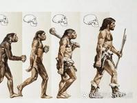 灭绝即永别！数亿年后地球，再也无法进化出人类人类灭绝后能否再次进化的讨论一