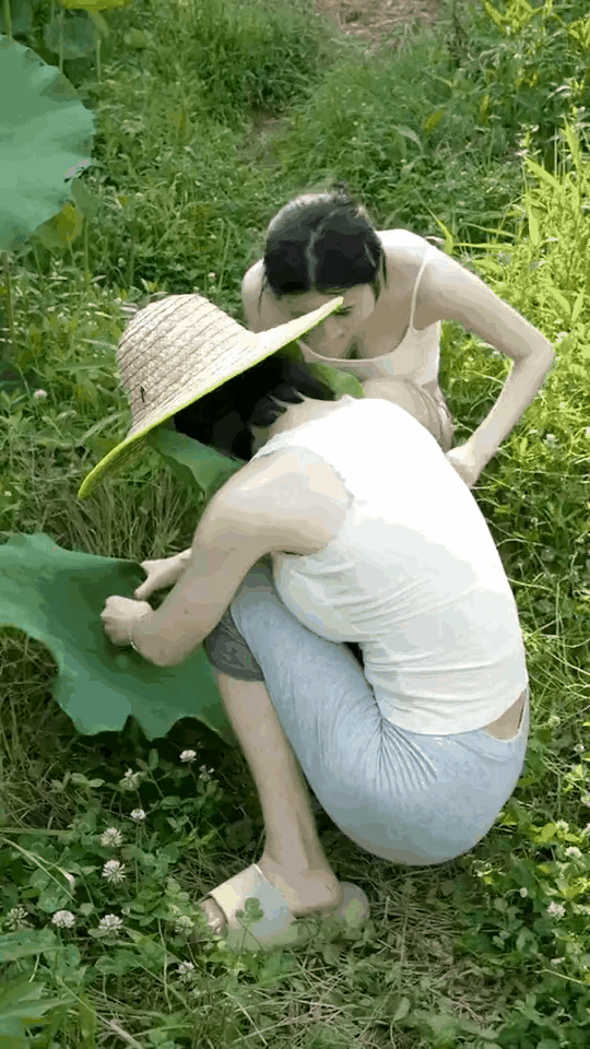 出淤泥而不染，濯清涟而不妖。这天然的面膜，不是你有钱就能买到的。