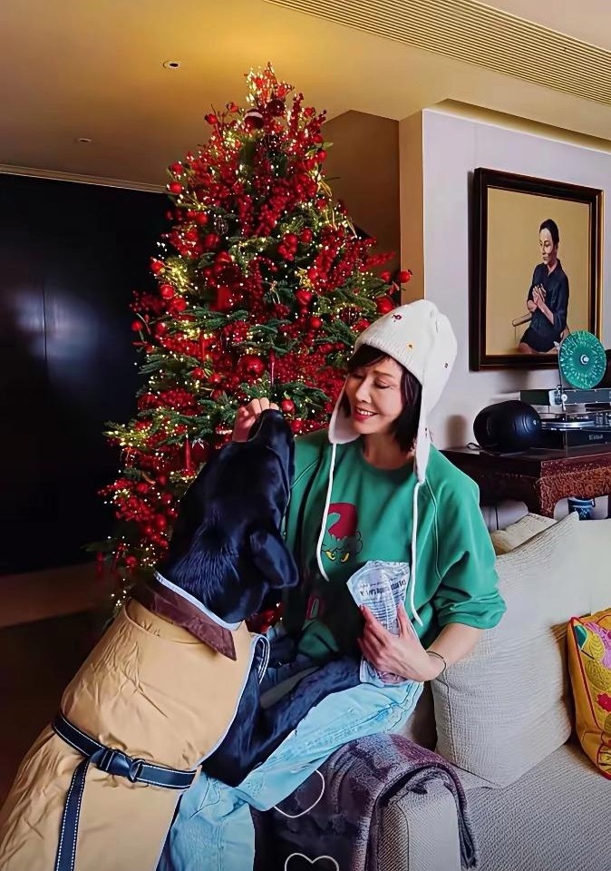 钱再多有什么用？刘嘉玲在豪宅过圣诞，无儿无女只有两只狗陪着她……500平的豪宅富