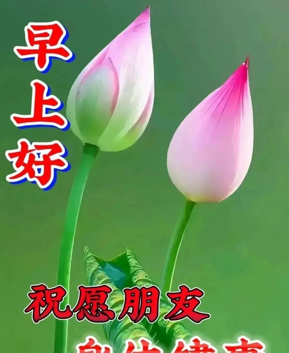 早安吉祥：日出有盼日落有念，心有所期忙而不茫，只要心态不老生活永远美好，愿您在忙