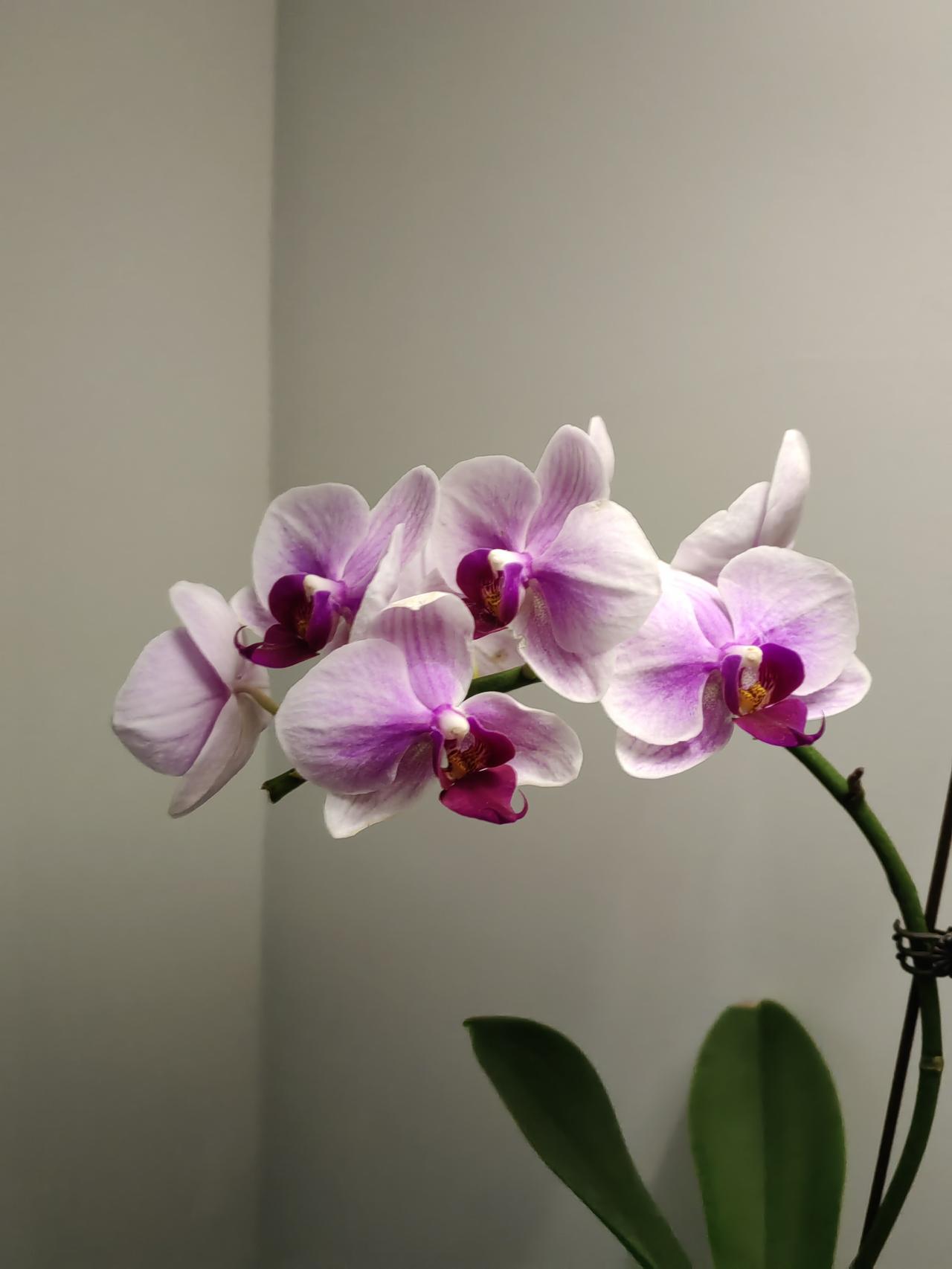 老公说我就会发号施令，指挥他这那的。这两天他几乎没停过，一直在清理小家里的东西，