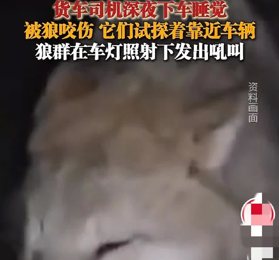 5月17日，新疆哈密331国道上，一位大货车司机放着安全的驾驶室不睡，非要睡在荒