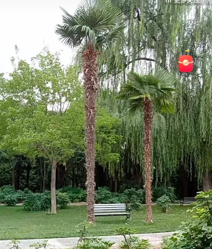 柴桑大姐今天早上说：你们说我们123上链接，是炒作？那个不敢来的，要约驾的，