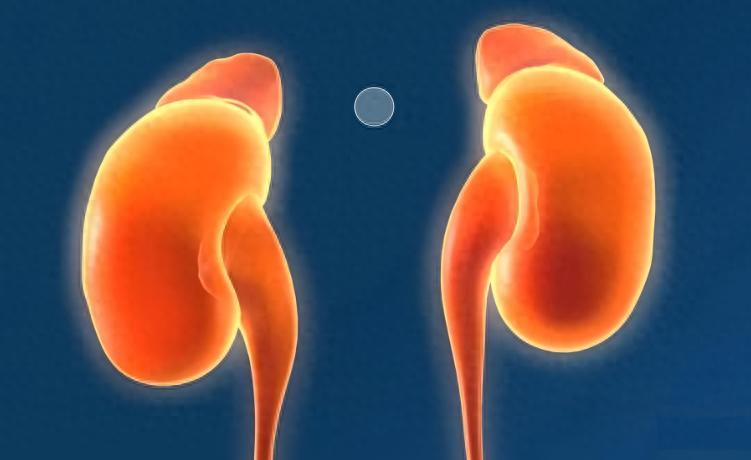 肝一堵屁多、脾一堵湿多、肺一堵痰多！一个中成药打通三脏淤堵，一身轻松作品声明：