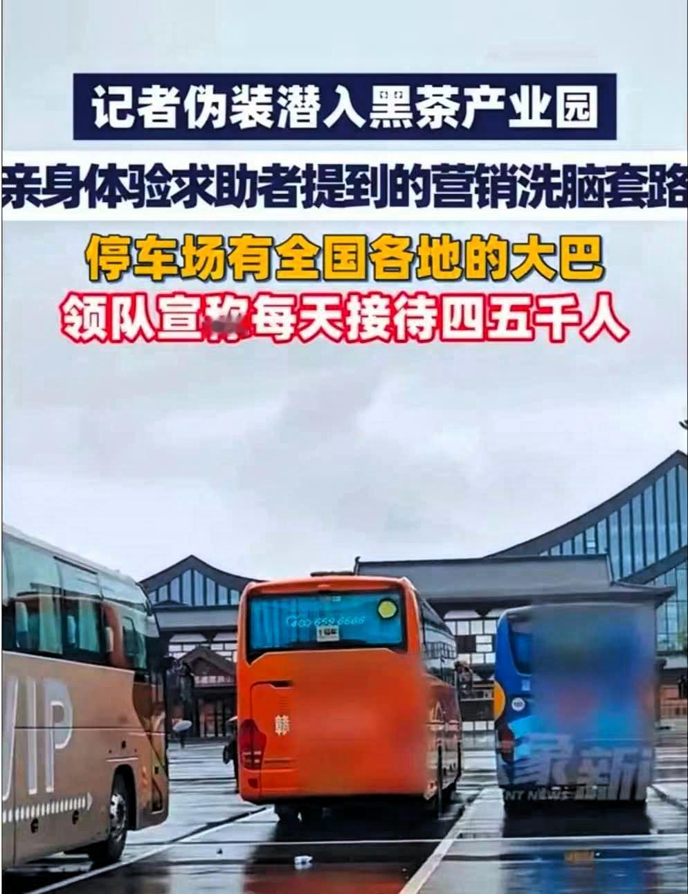 刚看了记者卧底黑茶产业园的新闻，每天有四五千人被集中带入园区，本以为是正规的产业