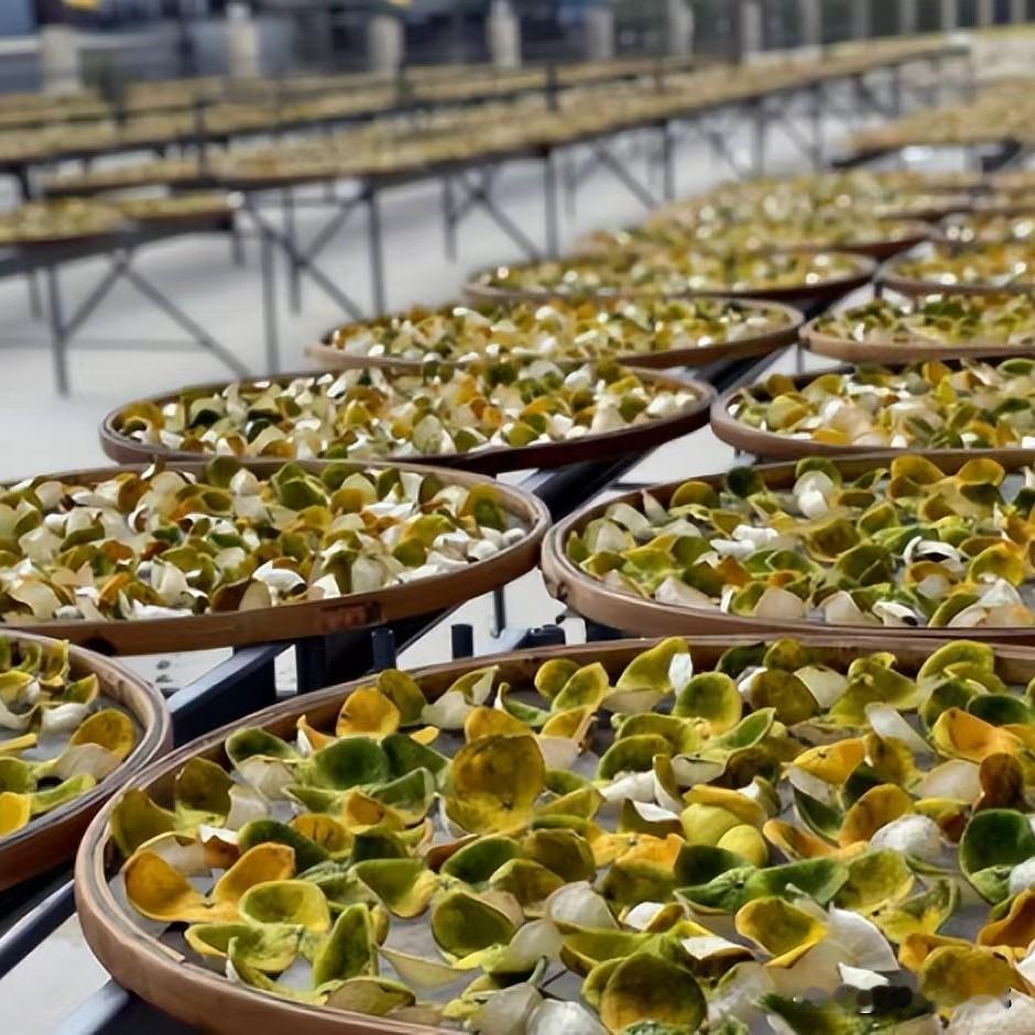 看到央视报道新会陈皮造假，把成本只有70块一斤的“科技狠活”卖到上千块一斤，