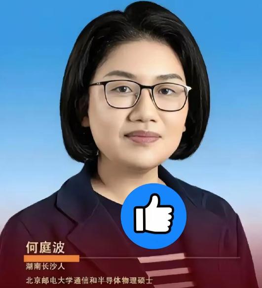 真正帮华为扛住芯片绝境、打破国外技术封锁的核心人物，不是大众熟知的台前人物，是常