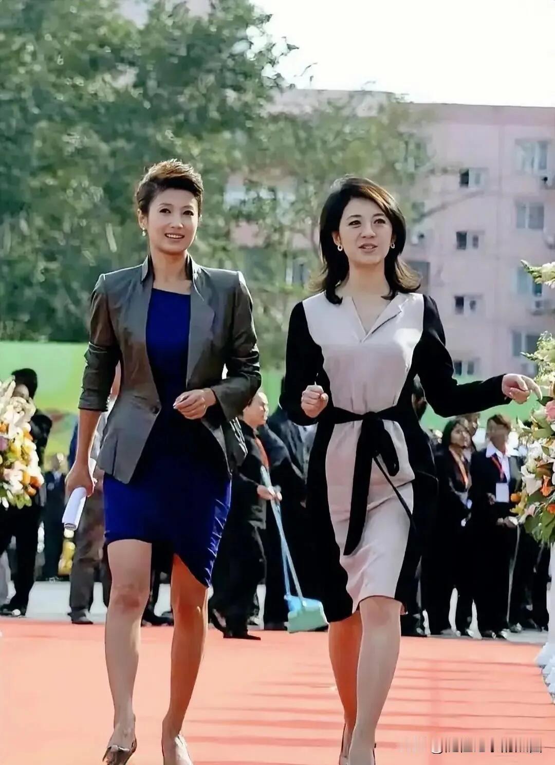 这两位女主持人都是前些年非常出名的，许戈辉颜值上高一些，但春妮在气质上更胜一筹。