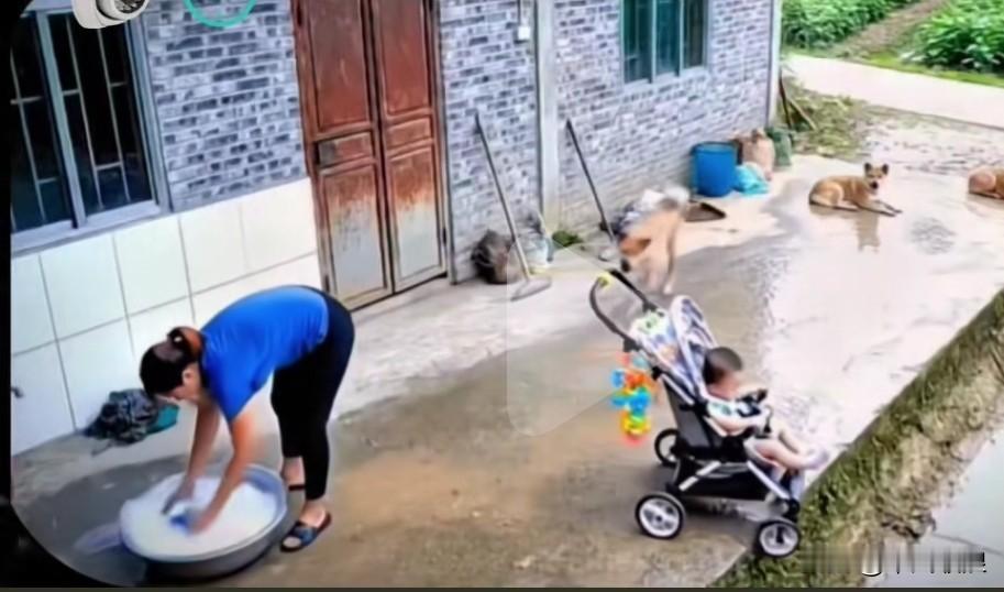 奶奶只顾着洗衣服，把孩子放在婴儿车上便觉得万事无忧。谁承想，孩子在车里摇晃，婴儿