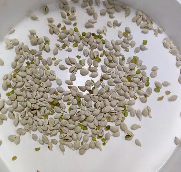 方法很传统，但对付前列腺炎效果很好，坚持21天！门诊很多慢性前列腺炎患者都存