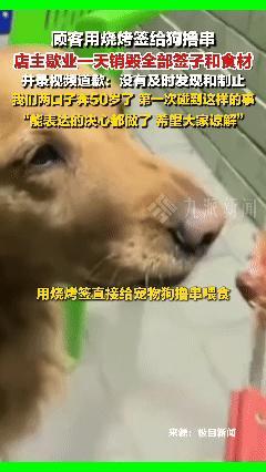 必须严惩！内蒙古赤峰顾客用烧烤签给狗撸串。 5月3日九派新闻报道，5月1日晚