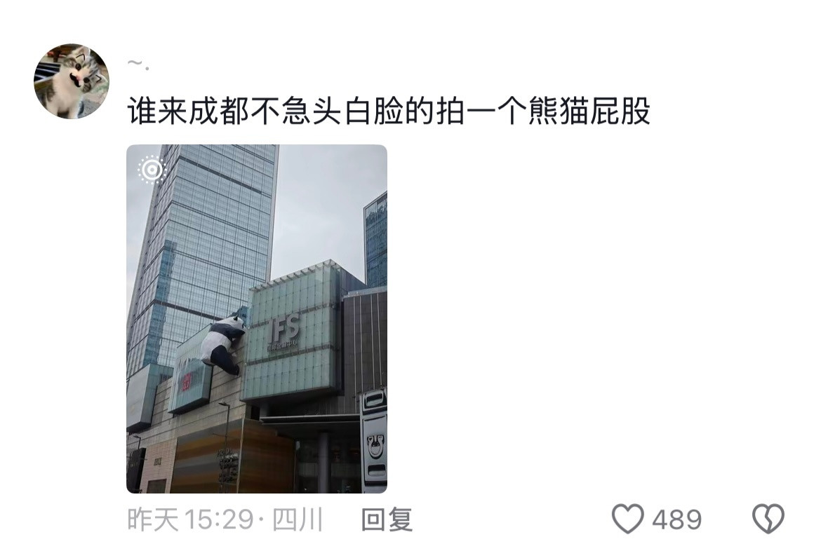 铁打的视角，流水的游客！果然每个城市都有每个城市的落地签哈哈哈哈哈哈哈哈