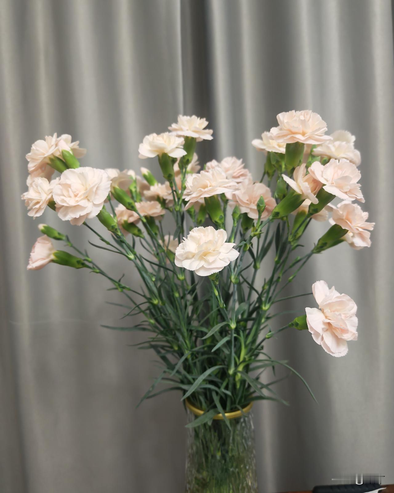 包子铺一次裁了三个人，包包子的都走了。包子铺生意不好了，每天客人稀稀拉拉，老板