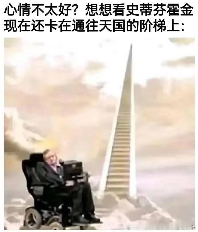 每日审me积累冷笑话中