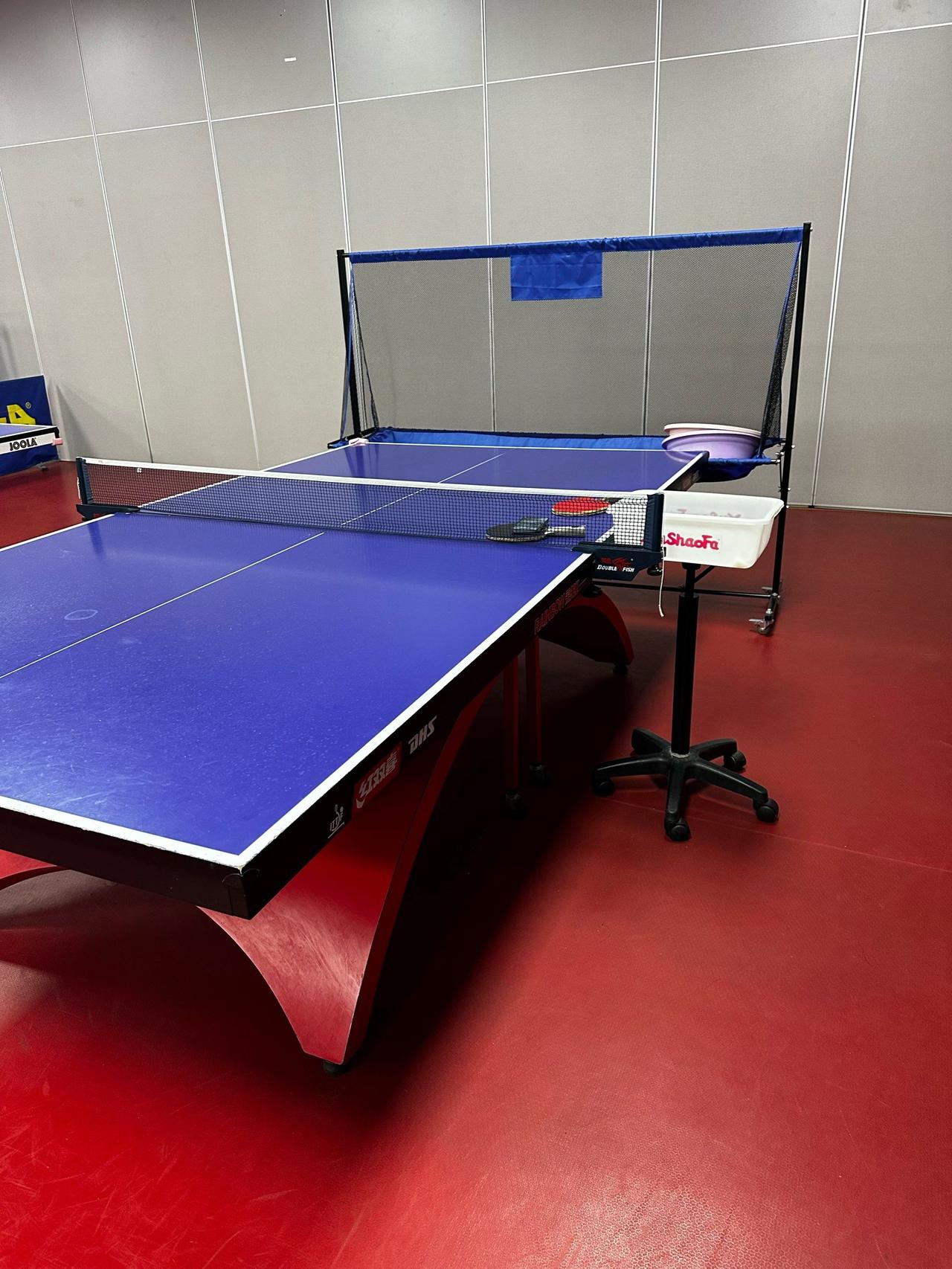 中国男乒现时需要:召回樊振东！中国女乒现时需要:推出陈梦！让樊振东回归，