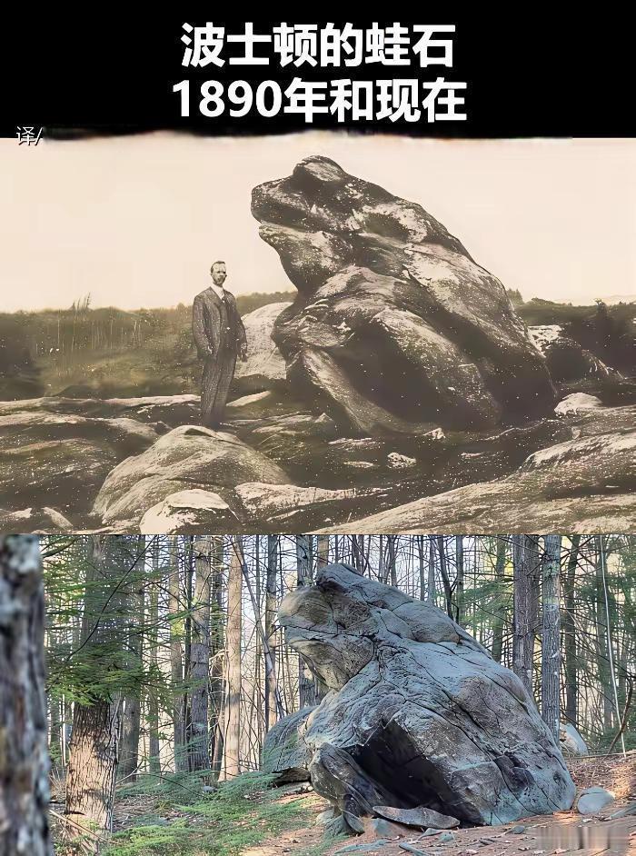 如果这块石头有价格的话，你愿意出多少钱买回家？