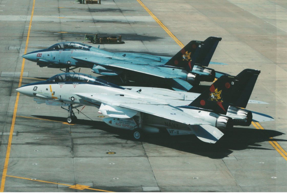 猫宁。停机坪上的“红色开膛手”中队旗旗下F-14大猫​​​