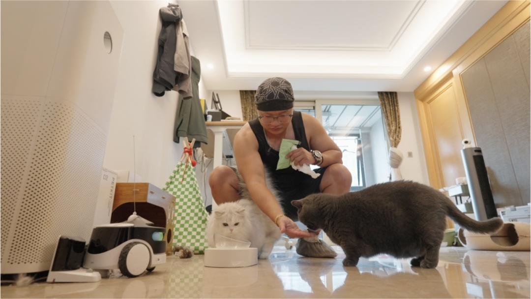 9天上门喂猫收8100元！宠物托管师日入近千？揭开“吸猫赚钱”背后的真相“