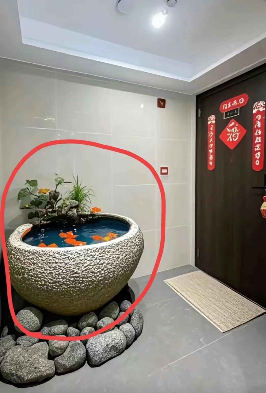 谁懂啊！一梯两户的楼道，被邻居改成“私人鱼缸”了！真的快愁死了！我家一梯两