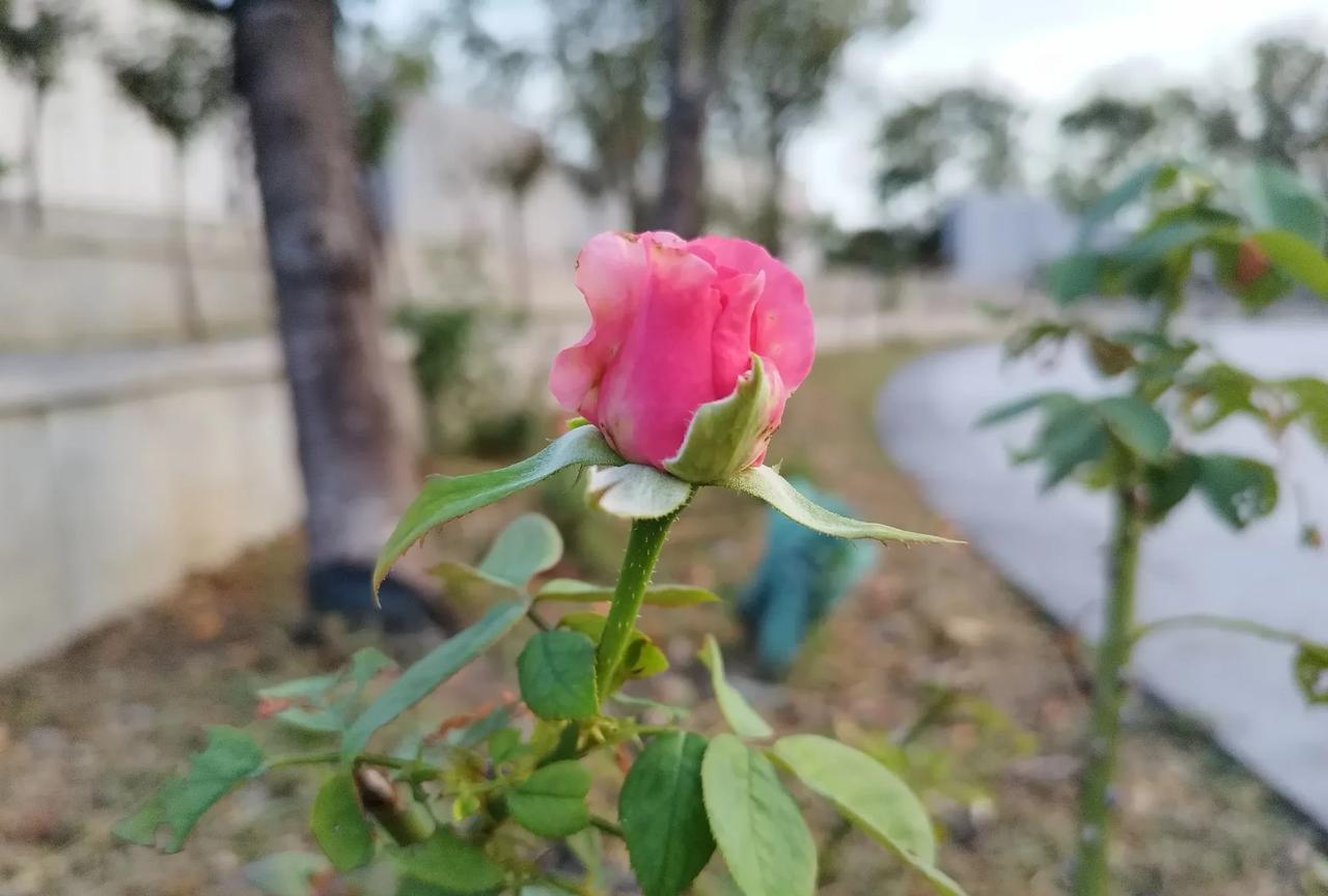 高考选专业，家长可以给建议，尽量不强迫孩子！亲戚的孩子，今年大四，学的会计专业