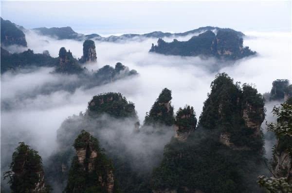张家界·武陵源，雨后现云海，飘逸壮观，似一幅幅水墨山水画！