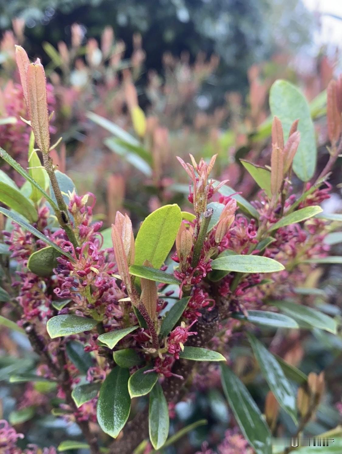 羊肉汤的灵魂是羊肉还是香菜，这问题就像在问披萨灵魂是饼底还是芝士，各有各的说法。