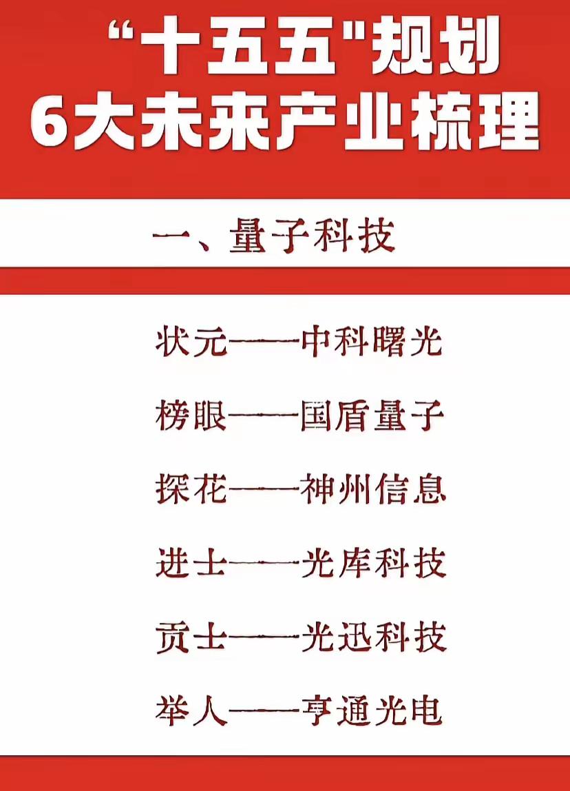 这是一份关于中国“十五五”规划中6大未来产业的梳理。每个产业都列出了6家代表