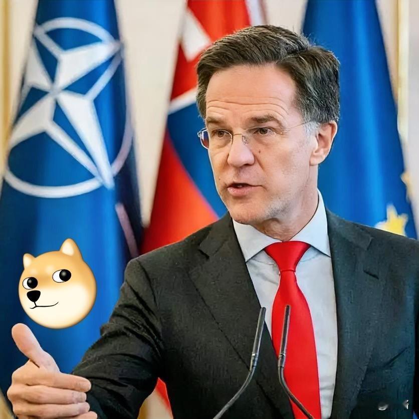 北约喊出对俄开战！是真强硬，还是军工复合体的生意经？12月14日，北约秘书