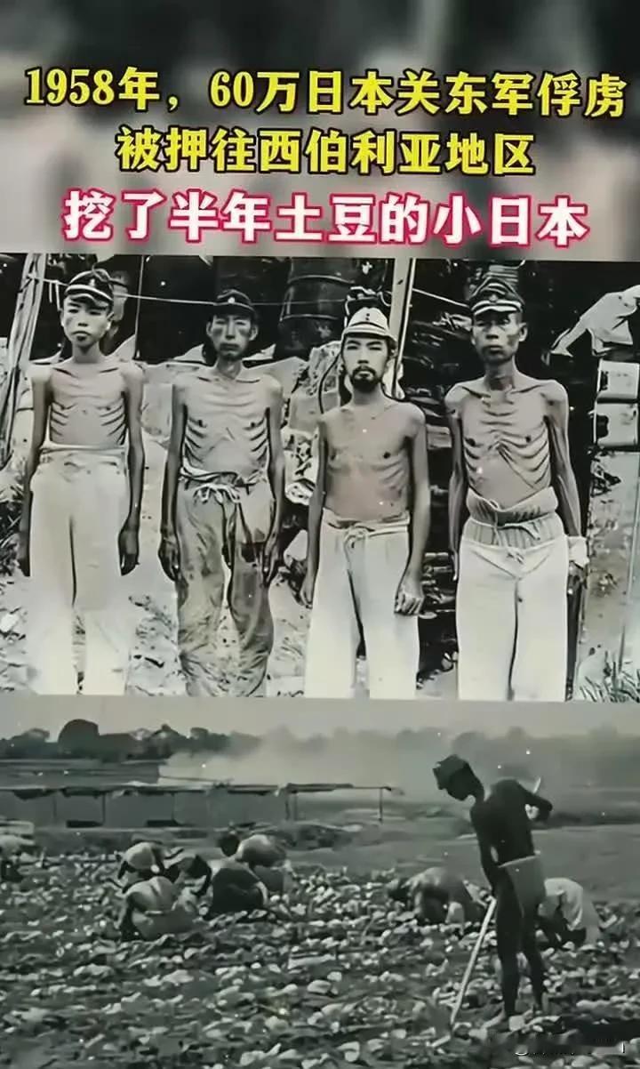 1945年，60万日军俘虏被押往西伯利亚，活下来的却只有40万，活下来的人后来哭