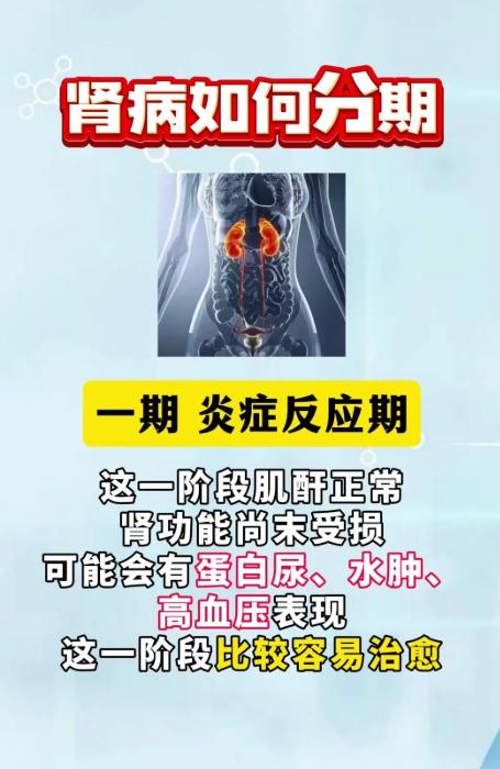 慢性肾病分5期，看懂你的肾脏处于哪个阶段