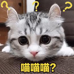 印度不允许一滴水流向巴基斯坦三儿，三儿，现在是汛期，你的大坝，它扛得住不？​​