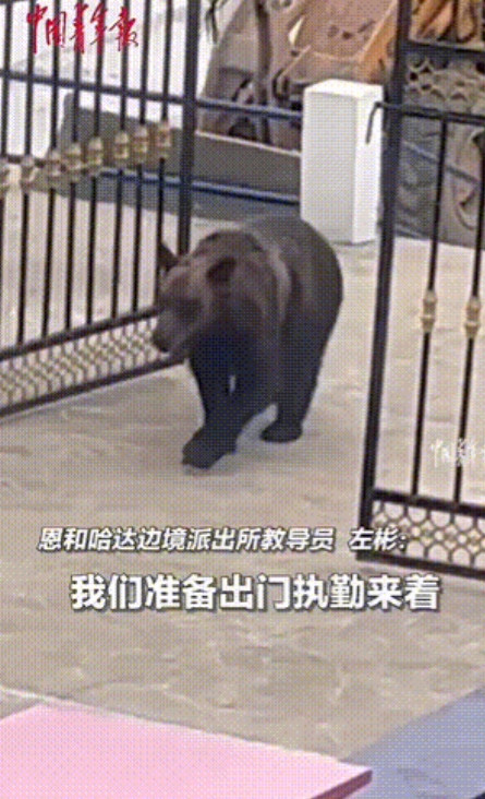 有时候真的想报警！”内蒙古呼伦贝尔，民警刚走到派出所门口准备出门执勤，老远一看一