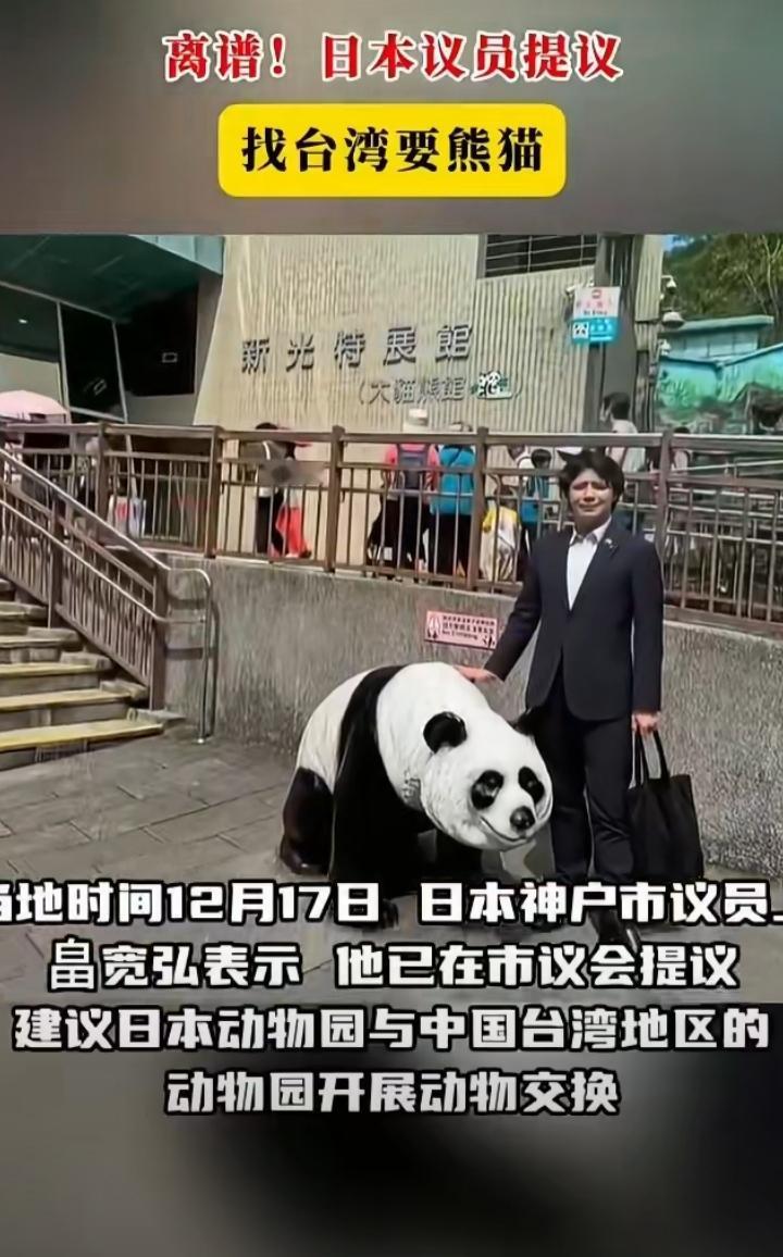 无耻！日本失去熊猫后，日本议员竟然提议找台湾要熊猫，它给出的理由是在中国台湾的熊