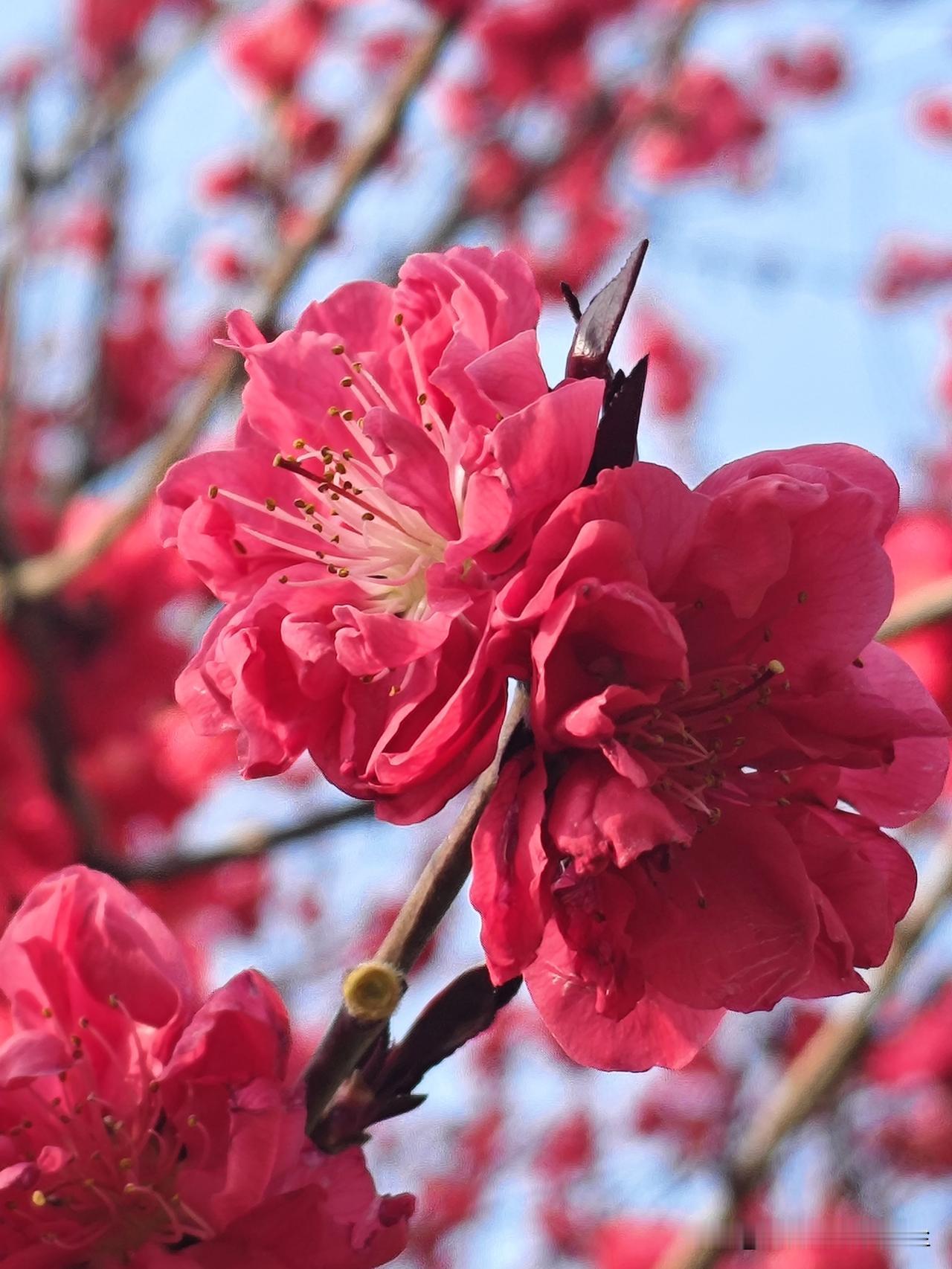 如果一个人太善良的时候，就不要轻信“冤冤相报何时了，得饶人处且饶人。”的P话。