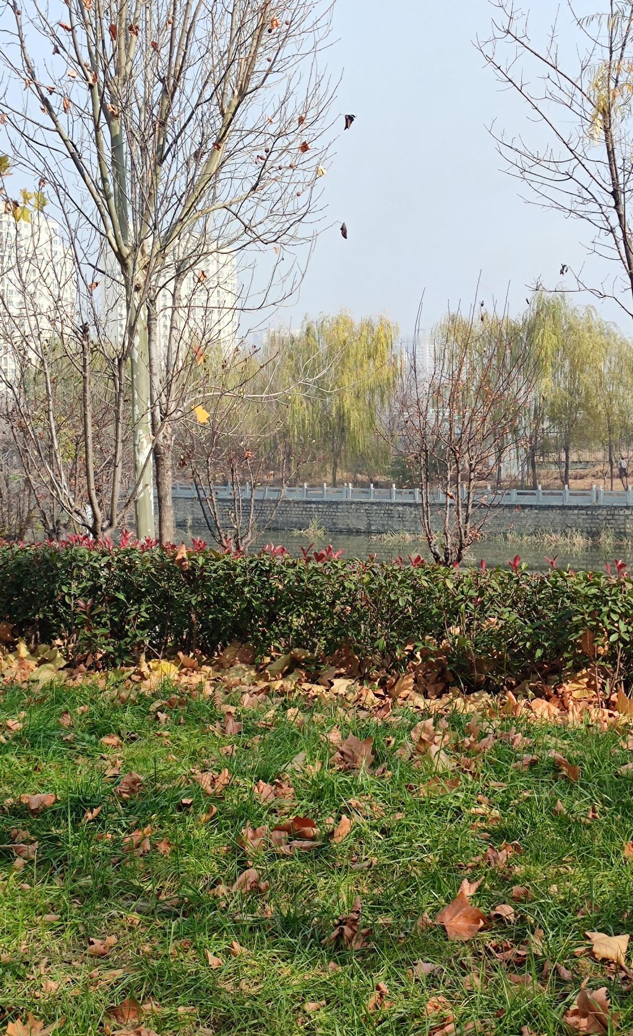 邻居小妹妹离婚了，一个人住了五年，这五年当中，有很多的男人请她吃饭，但是她谁也不