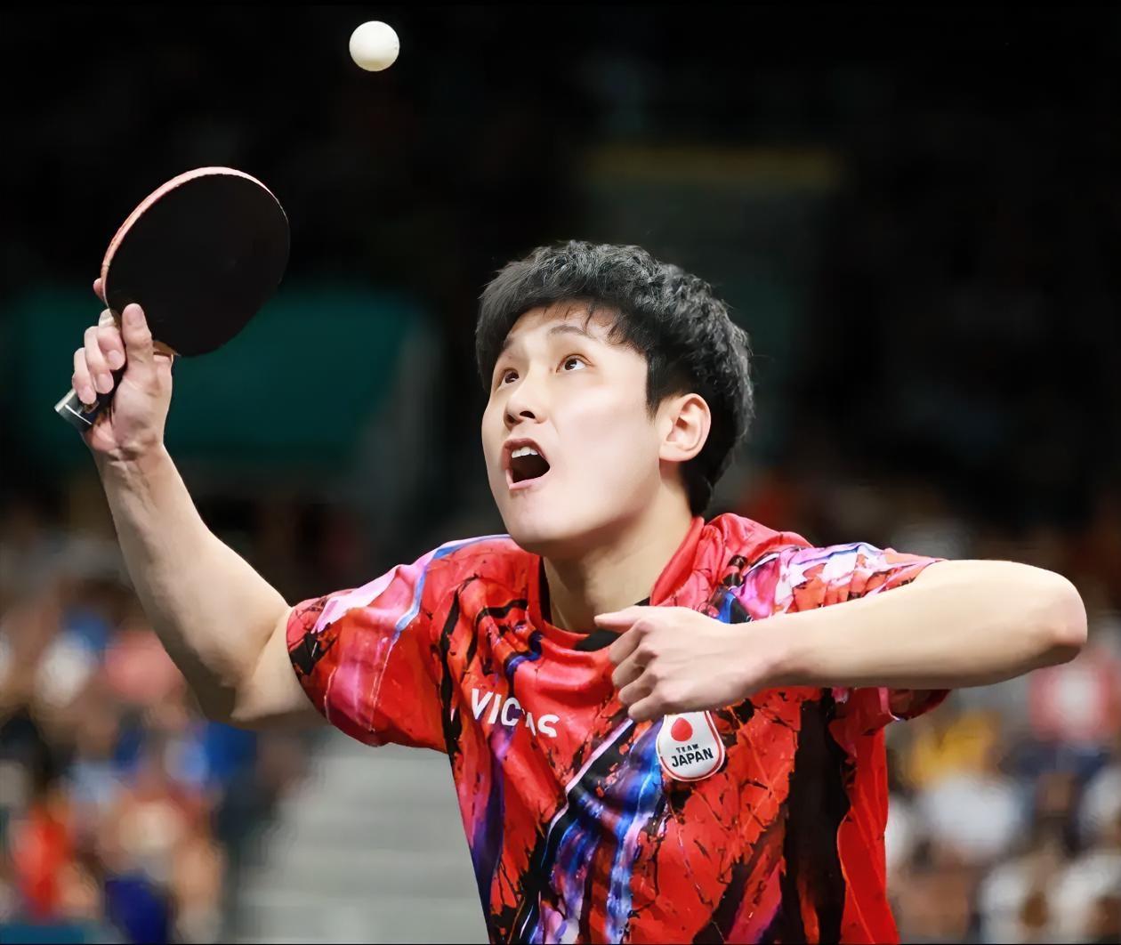 凌晨四点，两集装箱行李，张本智和全家直接“提桶跑路”去了德国。这事儿办得太绝