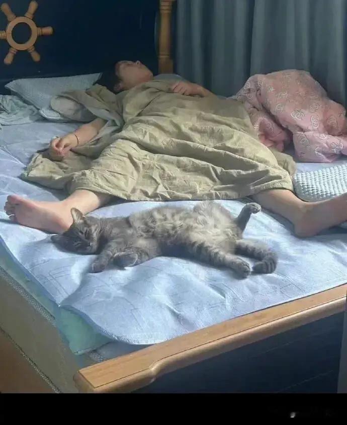 果然一个被窝里睡不出两种人！[doge]​​​