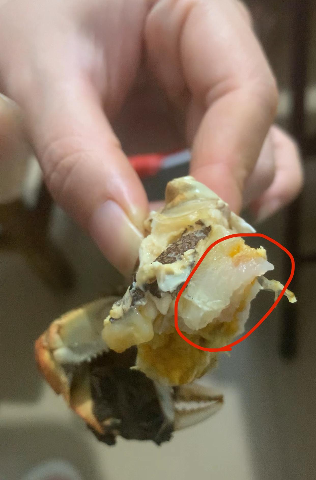 这个半透明，黏黏的，在蟹黄后面，两边都有，这个是是什么，能吃吗第一次吃毛蟹，