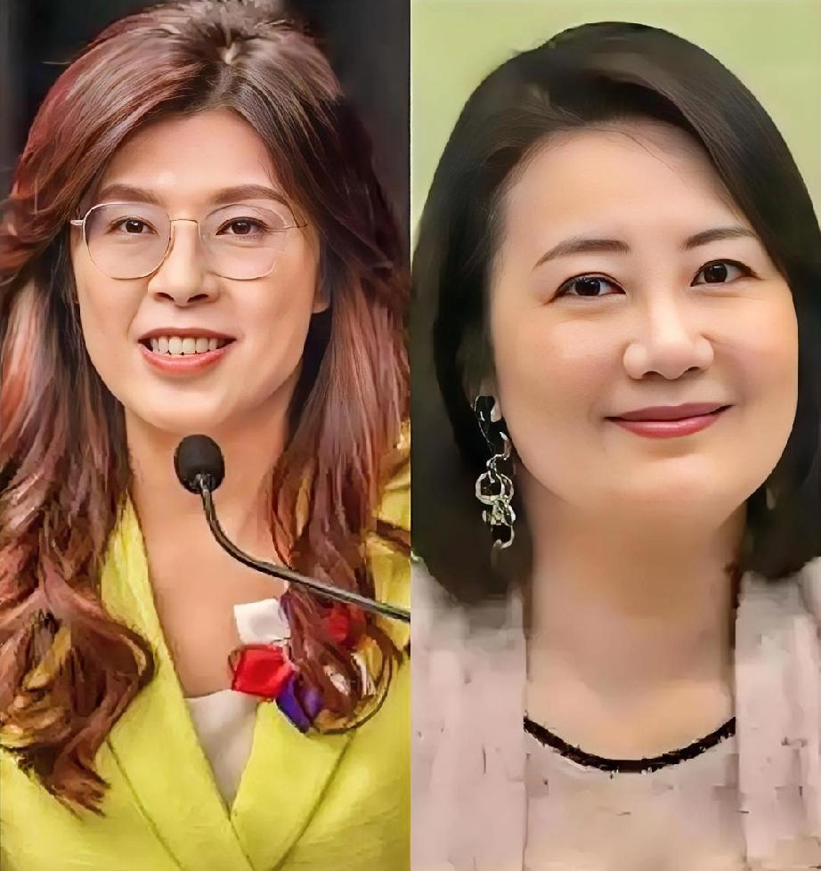 台独分子彻底呆住了，郑丽文：“东方大国不可分割”，民进党执行长：“郑