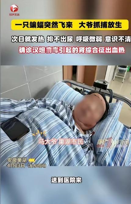 “悲剧还是发生了！”近日，安徽巢湖，一位大爷发现家中进了只蝙蝠，他伸手就去抓，可