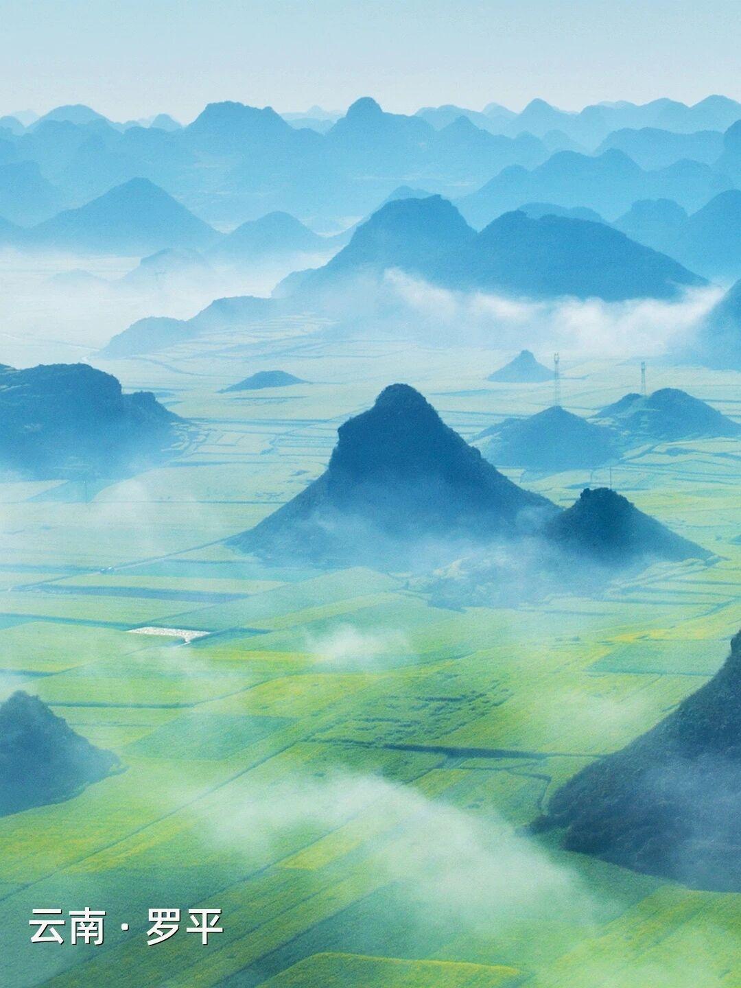 |错过这片金黄，就错过半个春天三月风暖，春天在大地上铺开最灿烂的颜色。