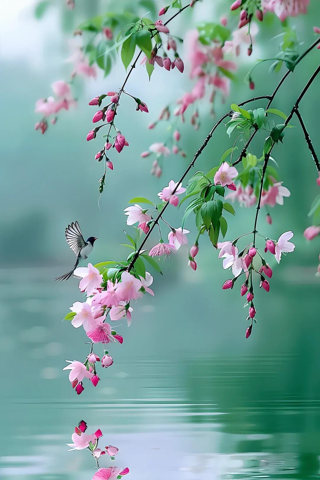 上联：春风有诗意.；（题图来自网络）