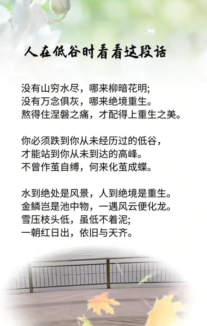 人在低谷时看看这段话没有山穷水尽，哪来柳暗花明;没有万念俱灰，哪来绝境重