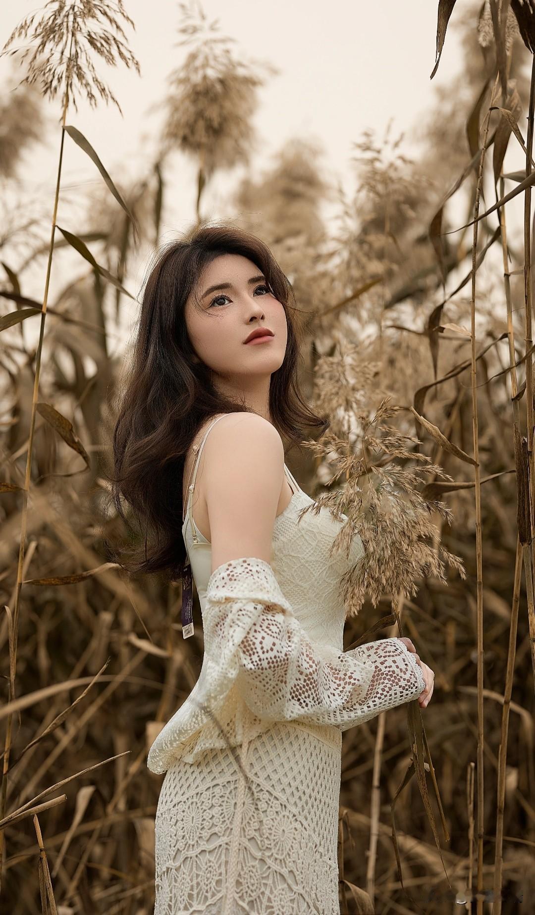 秋风起，芦苇摇，美人如画。