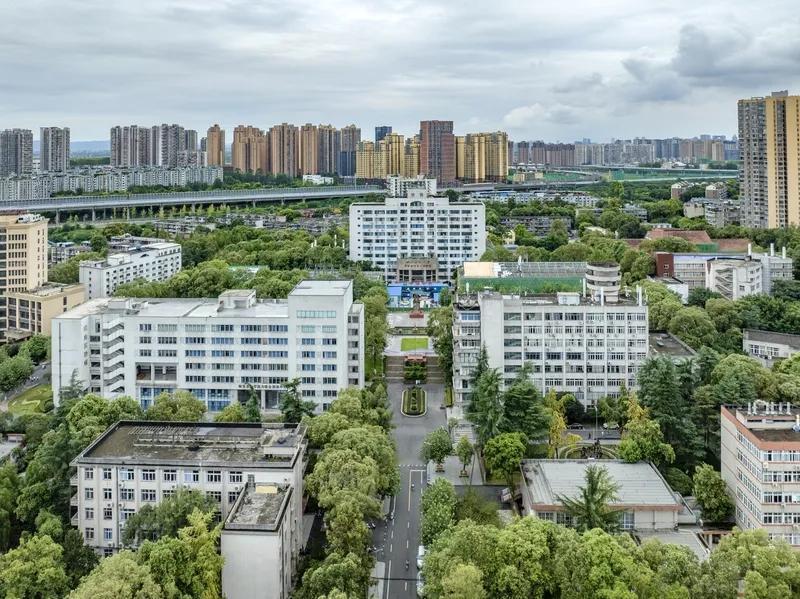 有网友说，2025年高考录取，985大学爆冷，公费师范生开始火爆。事实究竟如何不