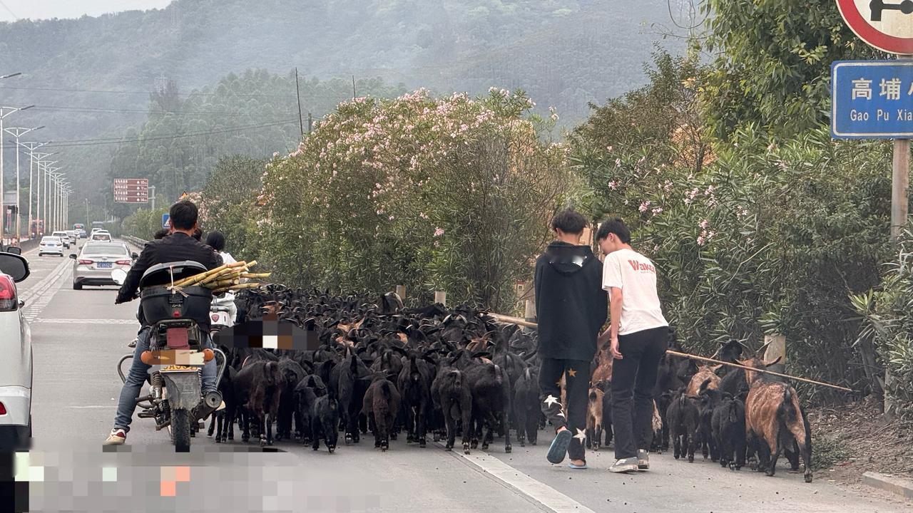 刚绕国道回广州本来都很顺畅的突然就堵住了…直到堵车的尽头前，我发现地面很多
