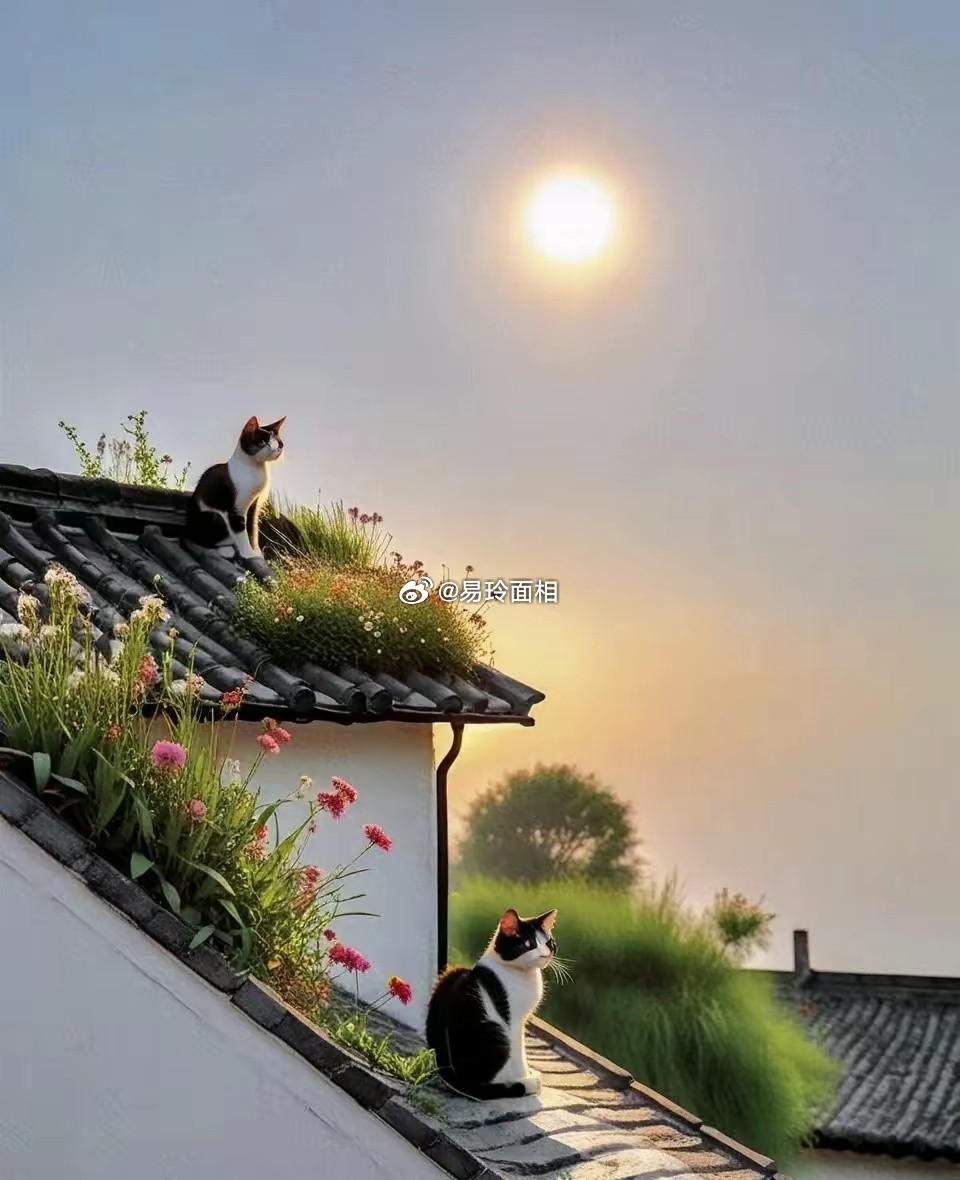 双子座的人通常被认为聪明且机智，他们思维活跃，脑海中充满新奇的构想。他们擅长用言